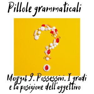 Pillole Grammaticali. Модуль 9 (Pronomi e aggettivi possessivi. I gradi e la posizione dell'aggettivo. Vecchio amico e amico vecchio.