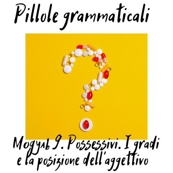 Pillole Grammaticali. Модуль 9 (Pronomi e aggettivi possessivi. I gradi e la posizione dell'aggettivo. Vecchio amico e amico vecchio.