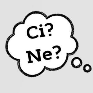 Частицы CI e NE.  Лекция + грамматический практикум